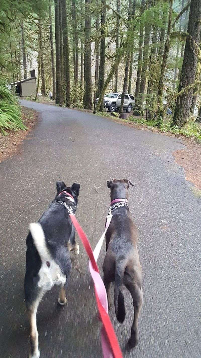 Where the Trail Begins: Location and Access