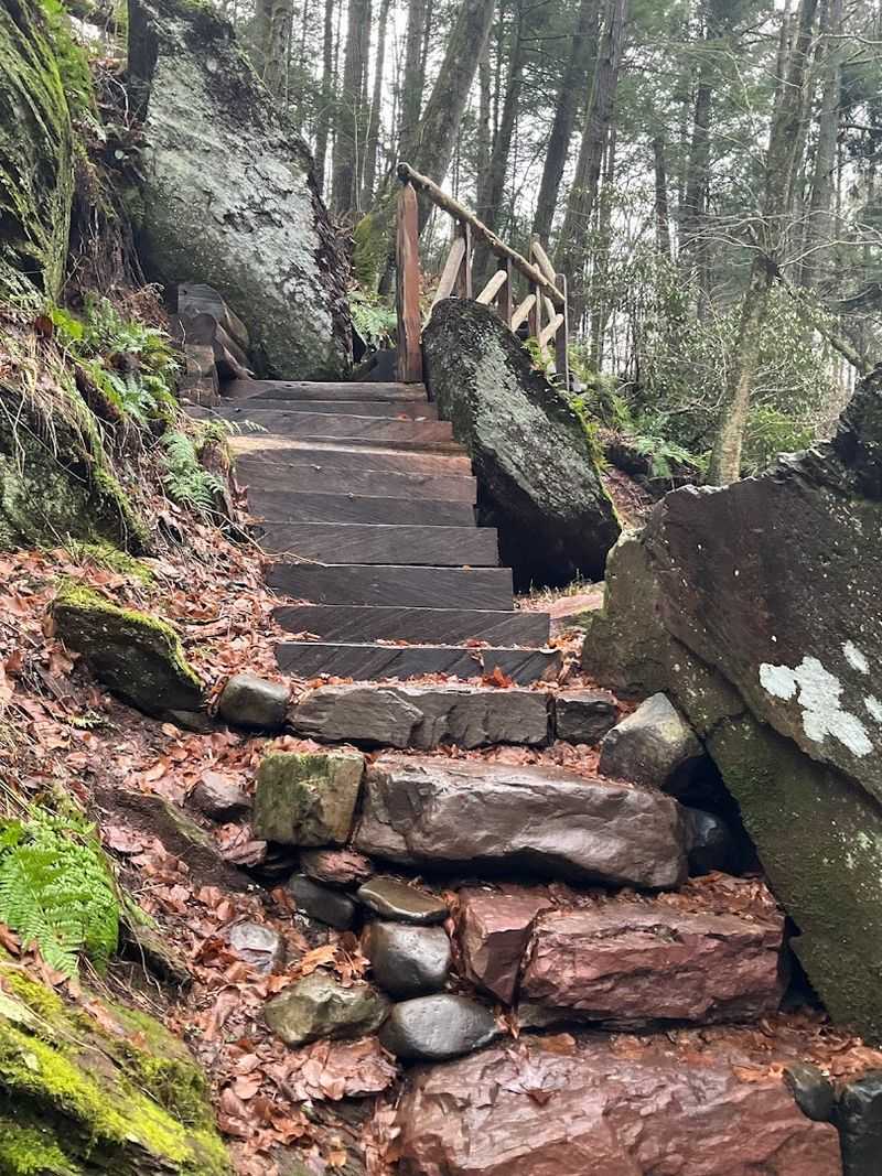Where the Trail Begins