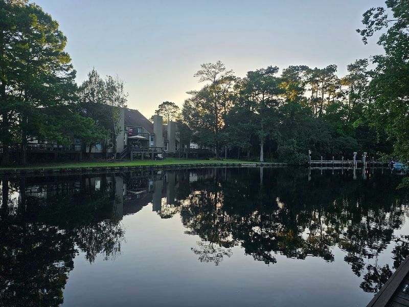 Where to Find This Bayou Gem Where to Find This Bayou Gem