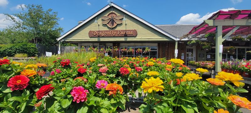 Where to Find This Hamilton Plant Haven