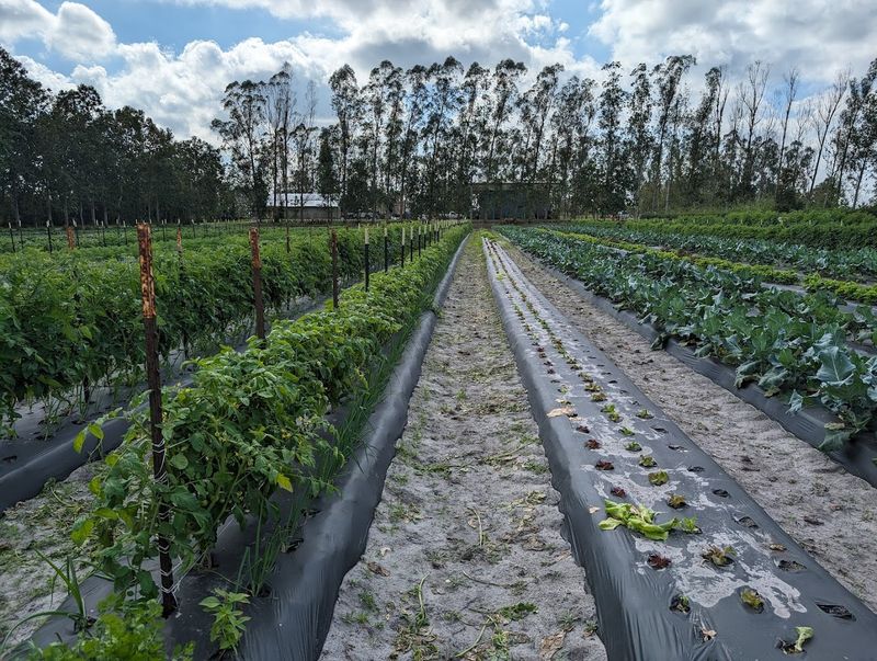 Where to Find This Hidden Farm
