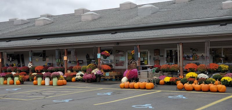 Where to Find This Hidden Gem in Fountain City Where to Find This Hidden Gem in Fountain City