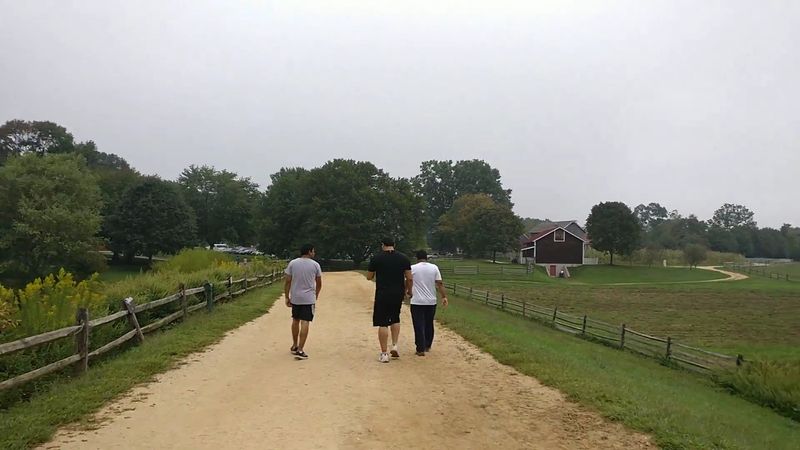 Where to Find This Hidden Gem in Holmdel
