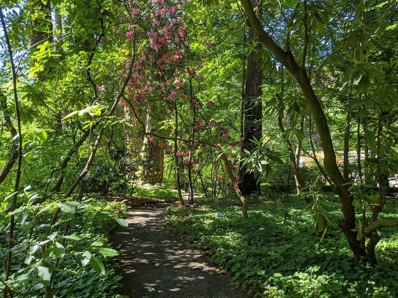 Where to Find This Hidden Portland Treasure
