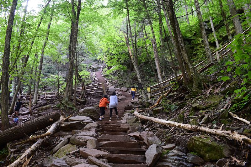 Who Can Handle This Hike Who Can Handle This Hike