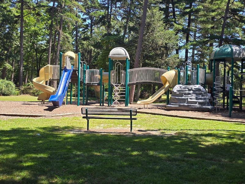 Who Uses the Park and How the Community Connects