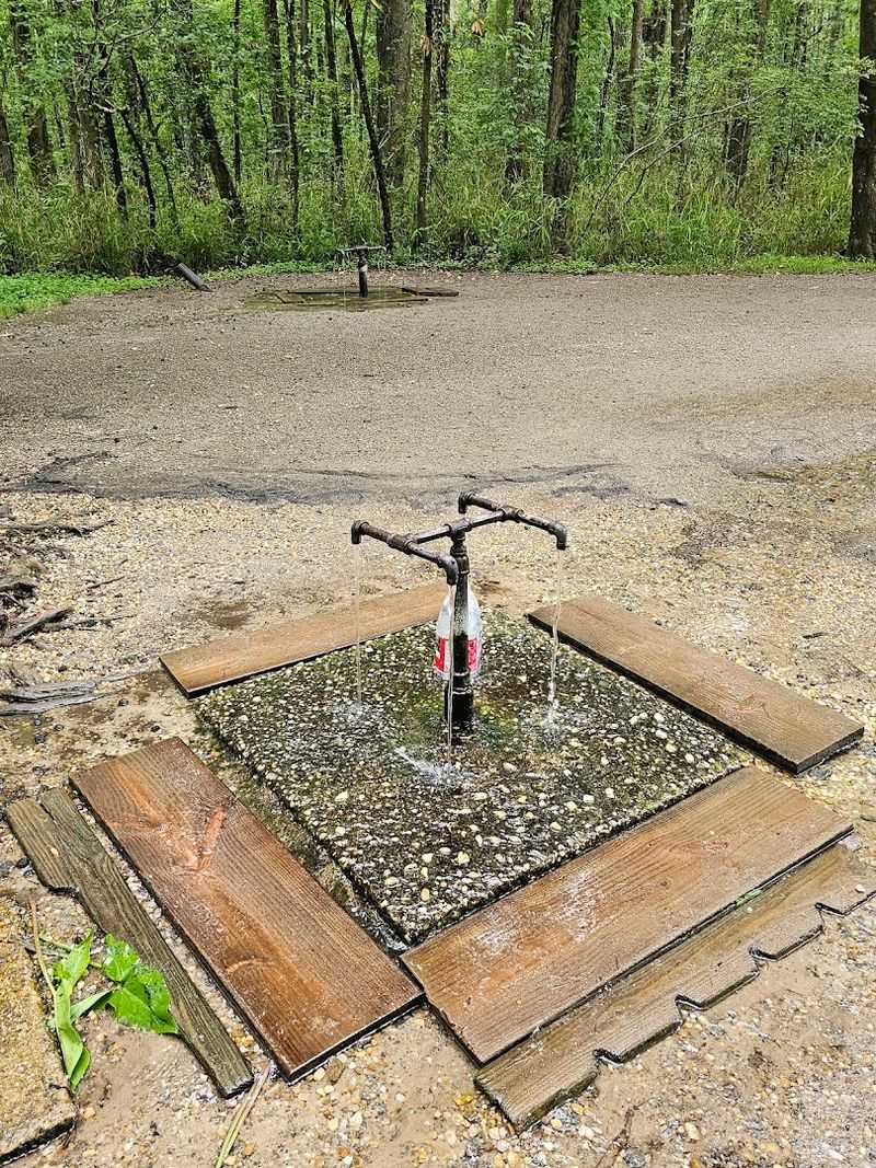 Who You Will Meet at the Springs Who You Will Meet at the Springs