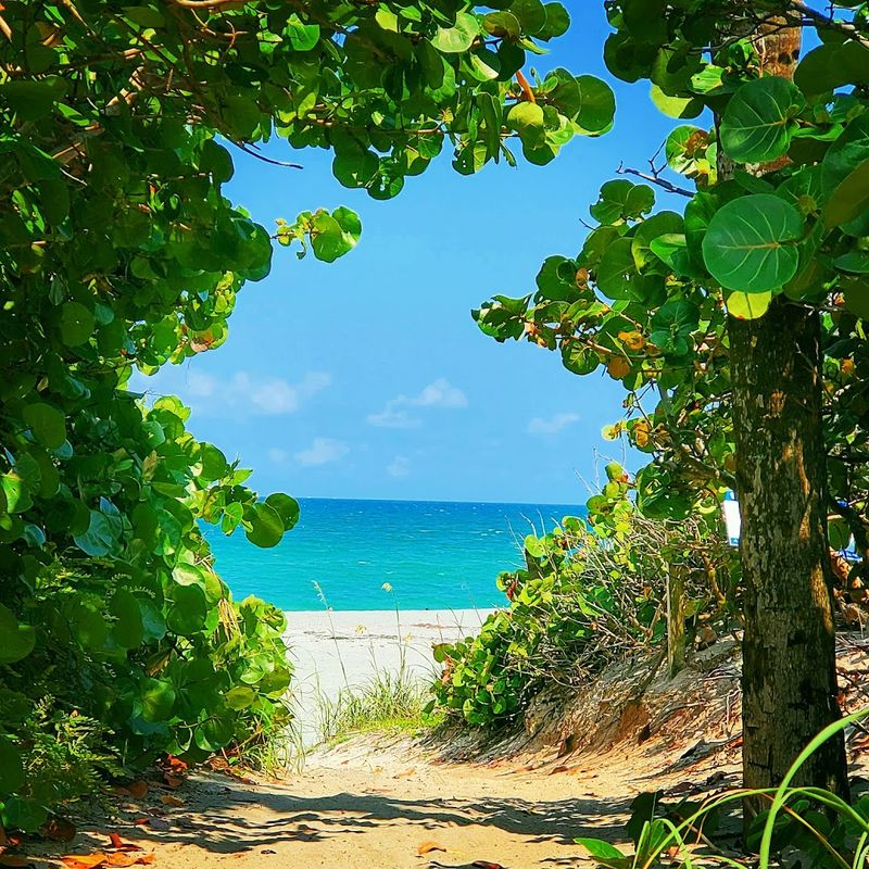 Why Carlin Park Earns Its Reputation as a Florida Favorite