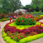 Why Families Across Kansas Keep Returning to This Beautiful Wichita Garden for Butterflies, Tulips, and Seasonal Festivals