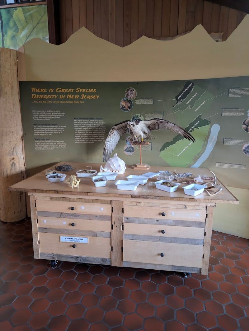 Why It Is Completely Free to Visit Why It Is Completely Free to Visit