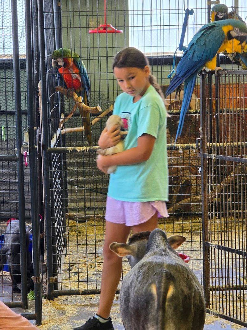 Why PAWsitively Wild Keeps Drawing Visitors Back to Atoka Why PAWsitively Wild Keeps Drawing Visitors Back to Atoka
