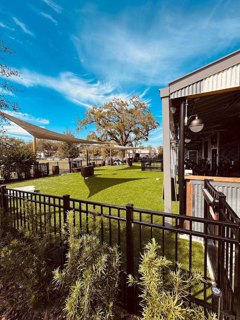 Why People Drive Hours Just to Visit BarkHaven