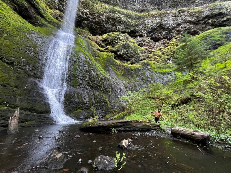 Why Silver Falls Belongs on Every Oregon Itinerary Why Silver Falls Belongs on Every Oregon Itinerary