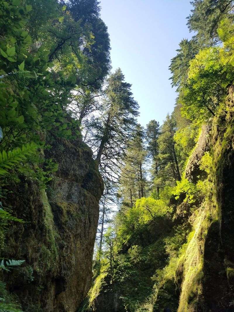 Why This Canyon Stays With You
