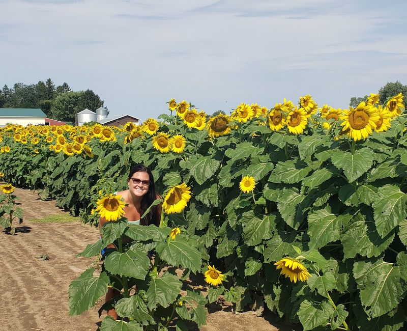 Why This Farm Deserves a Spot on Your Summer List