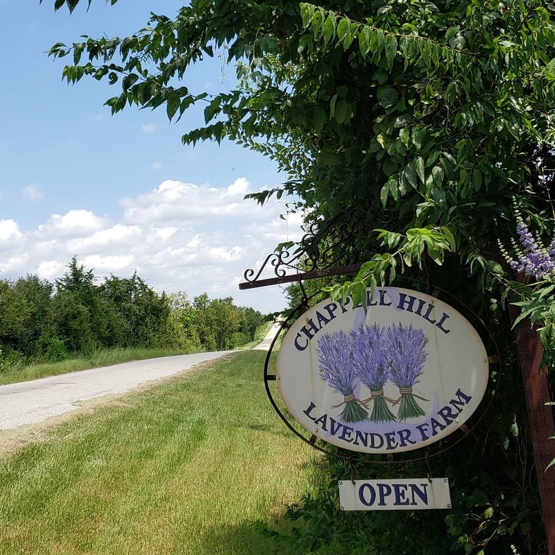 Why This Farm Deserves a Spot on Your Texas Road Trip List Why This Farm Deserves a Spot on Your Texas Road Trip List