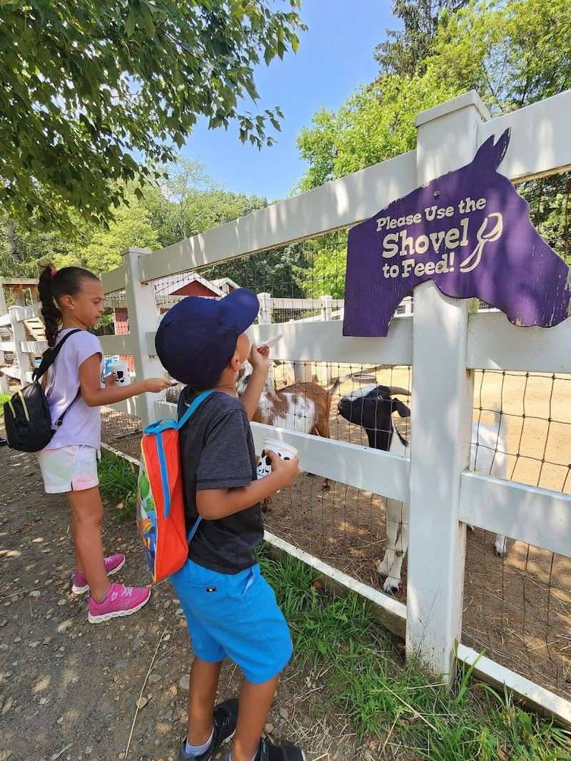 Why This Farm Keeps Drawing Families Back