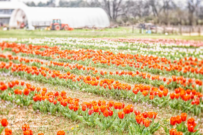 Why This Farm Keeps Drawing People Back Why This Farm Keeps Drawing People Back