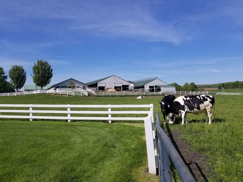 Why This Farm Keeps Drawing People Back Season After Season