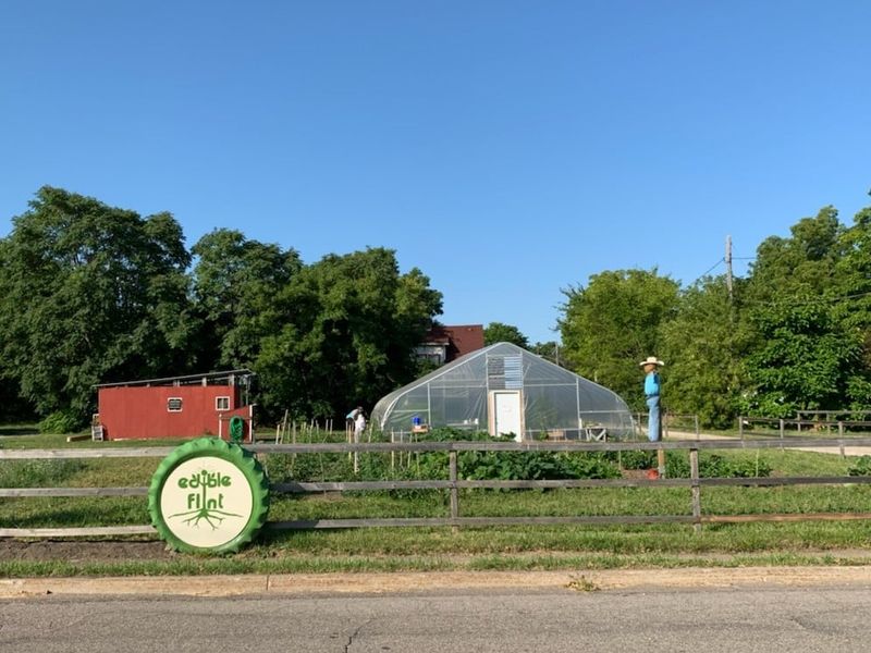 Why This Farm Matters and How You Can Be Part of It