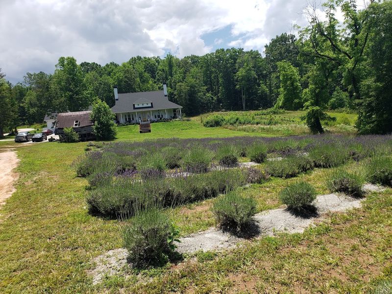 Why This Farm Stays With You Long After You Leave