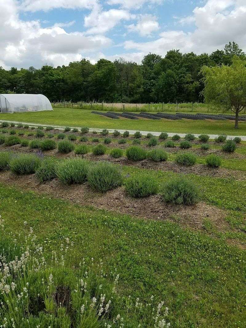 Why This Farm Stays With You