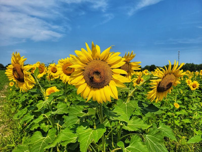 Why This Field Deserves a Spot on Your 2026 List Why This Field Deserves a Spot on Your 2026 List