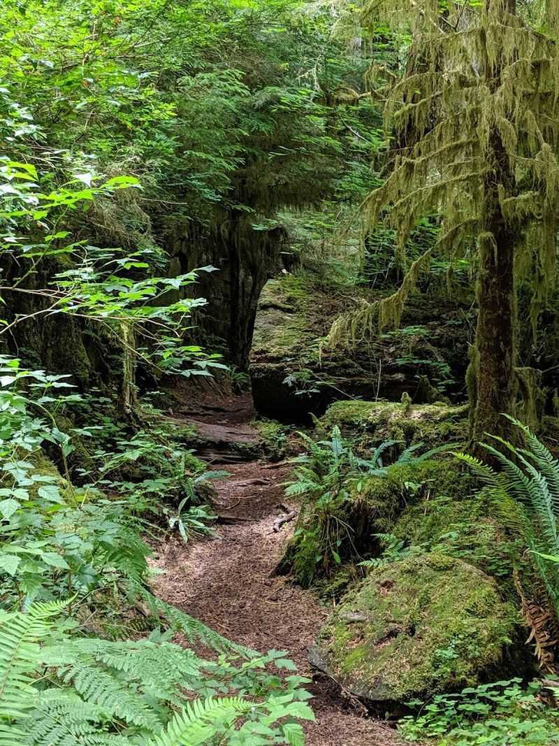 Why This Hike Stays With You Long After You Leave