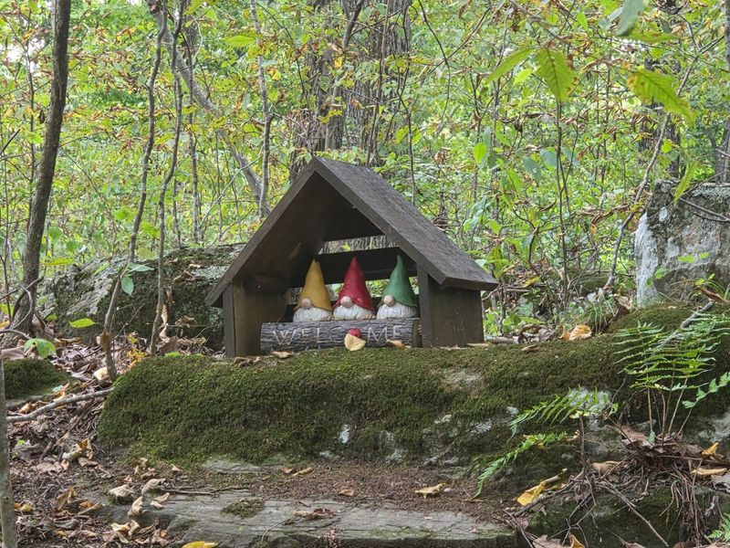 Why This Little Preserve Keeps Pulling People Back