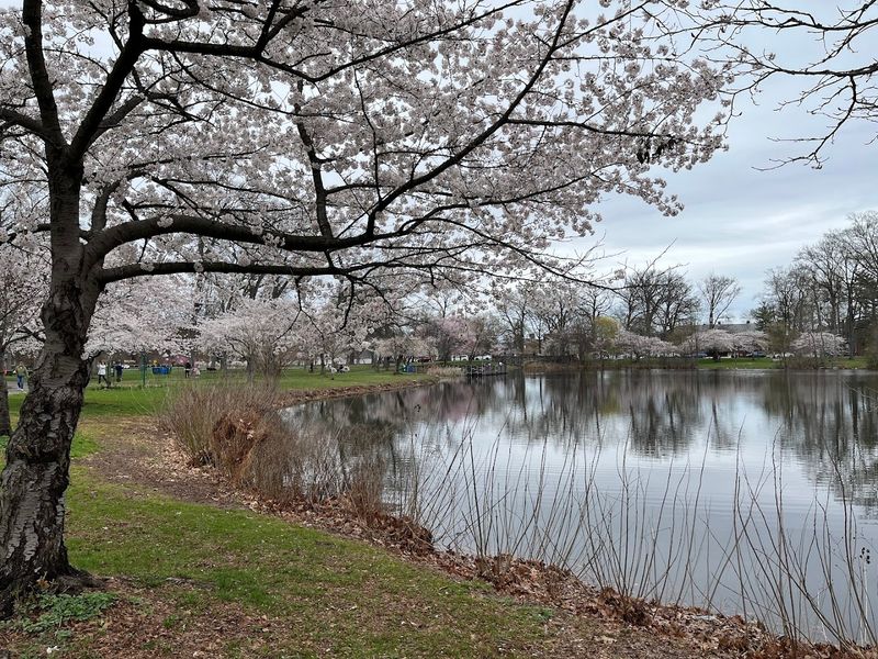 Why This Park Deserves a Spot on Your Regular Rotation