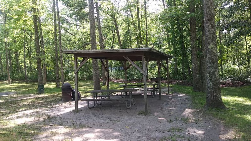 Why This Park Keeps Drawing People Back