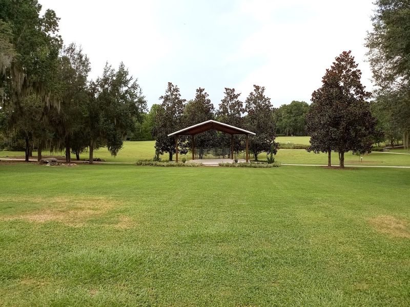 Why This Park Works So Well for Picnics