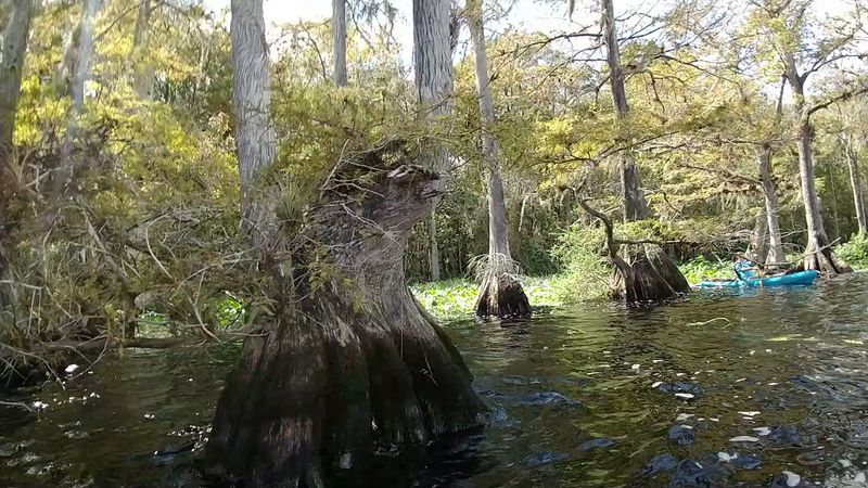 Why This Place Deserves a Spot on Your Florida Bucket List Why This Place Deserves a Spot on Your Florida Bucket List
