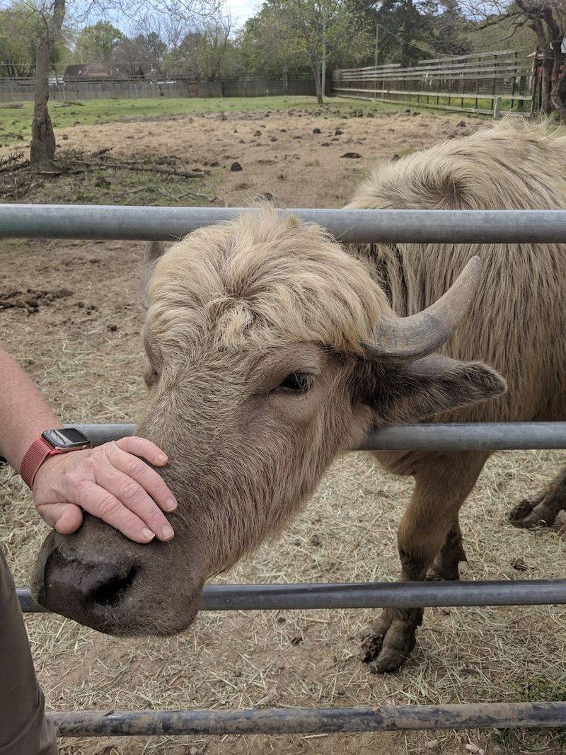 Why This Place Deserves a Spot on Your Texas Bucket List