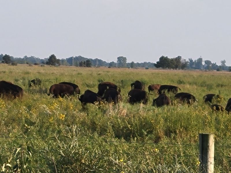Why This Place Matters for Indiana Conservation Why This Place Matters for Indiana Conservation