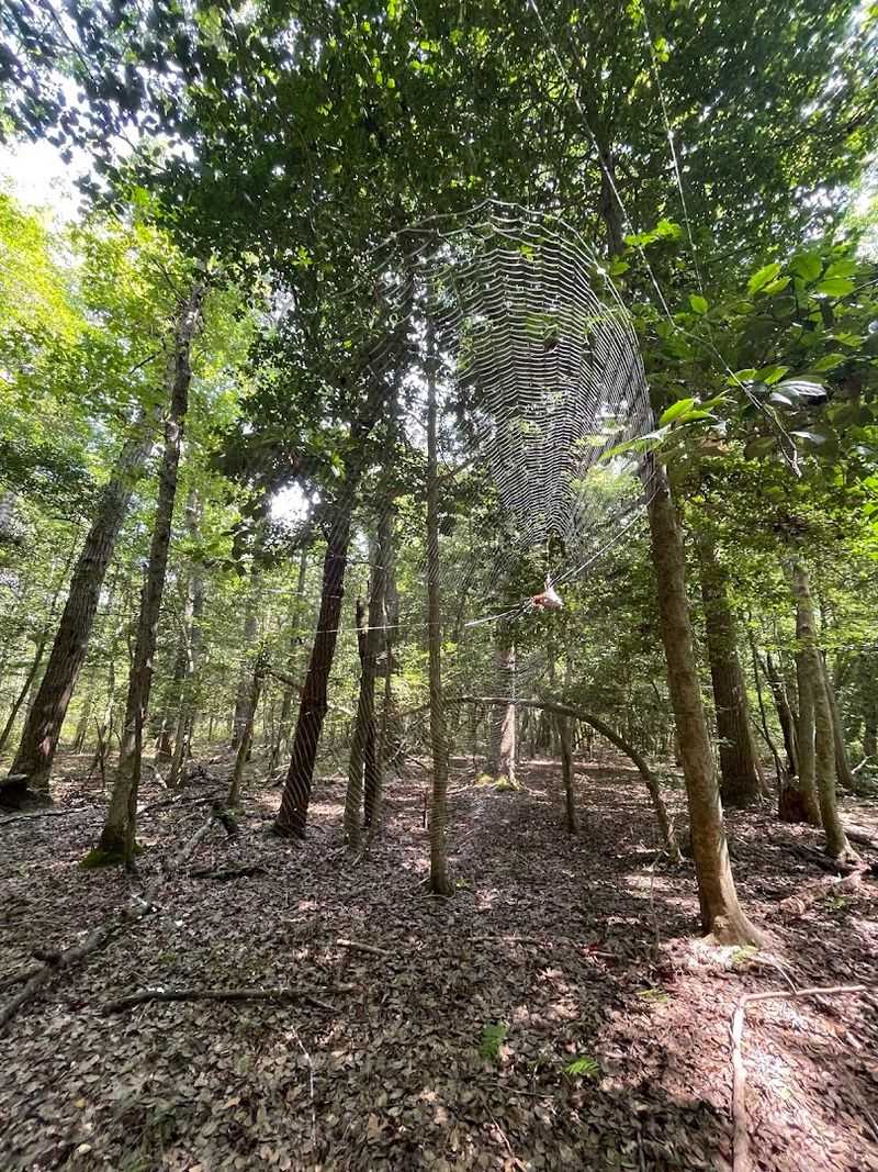 Why This Preserve Keeps Drawing People Back