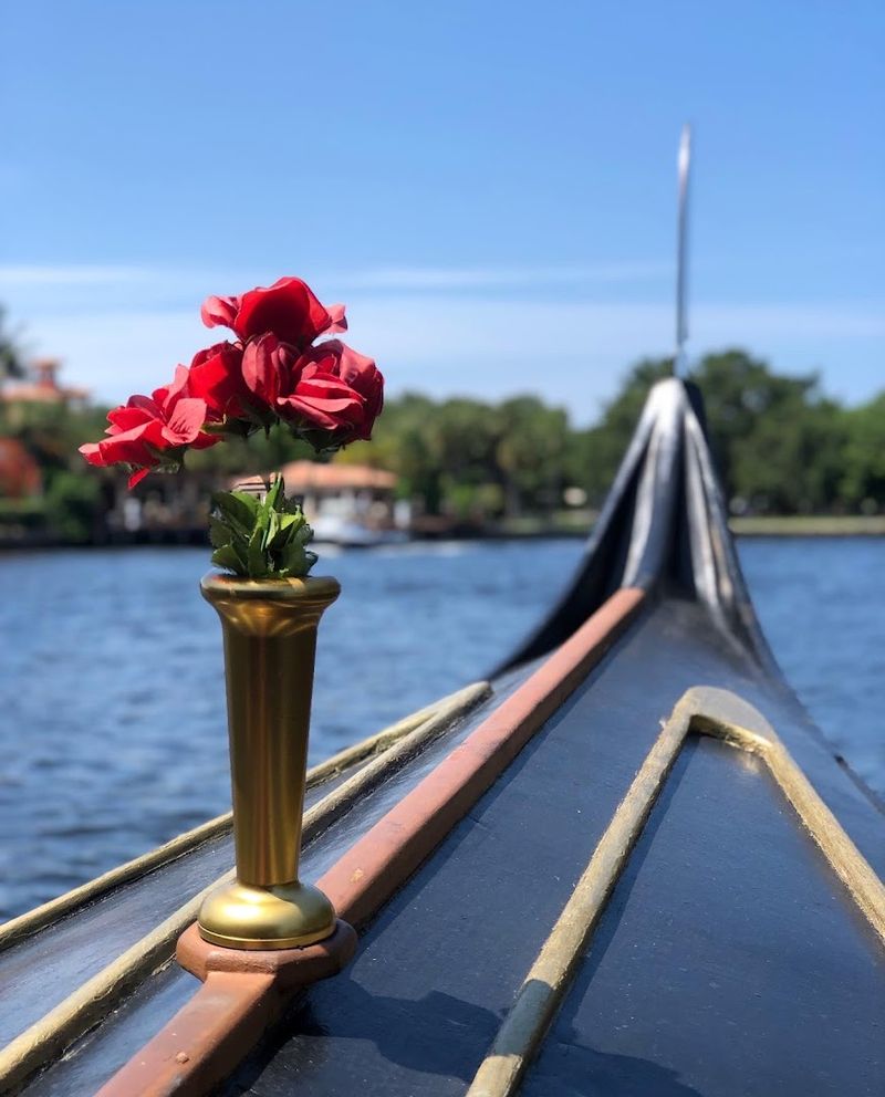 Why This Ride Belongs on Every Fort Lauderdale Itinerary