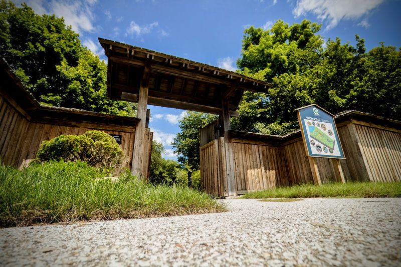 Why This Small Garden Carries Such a Big Reputation