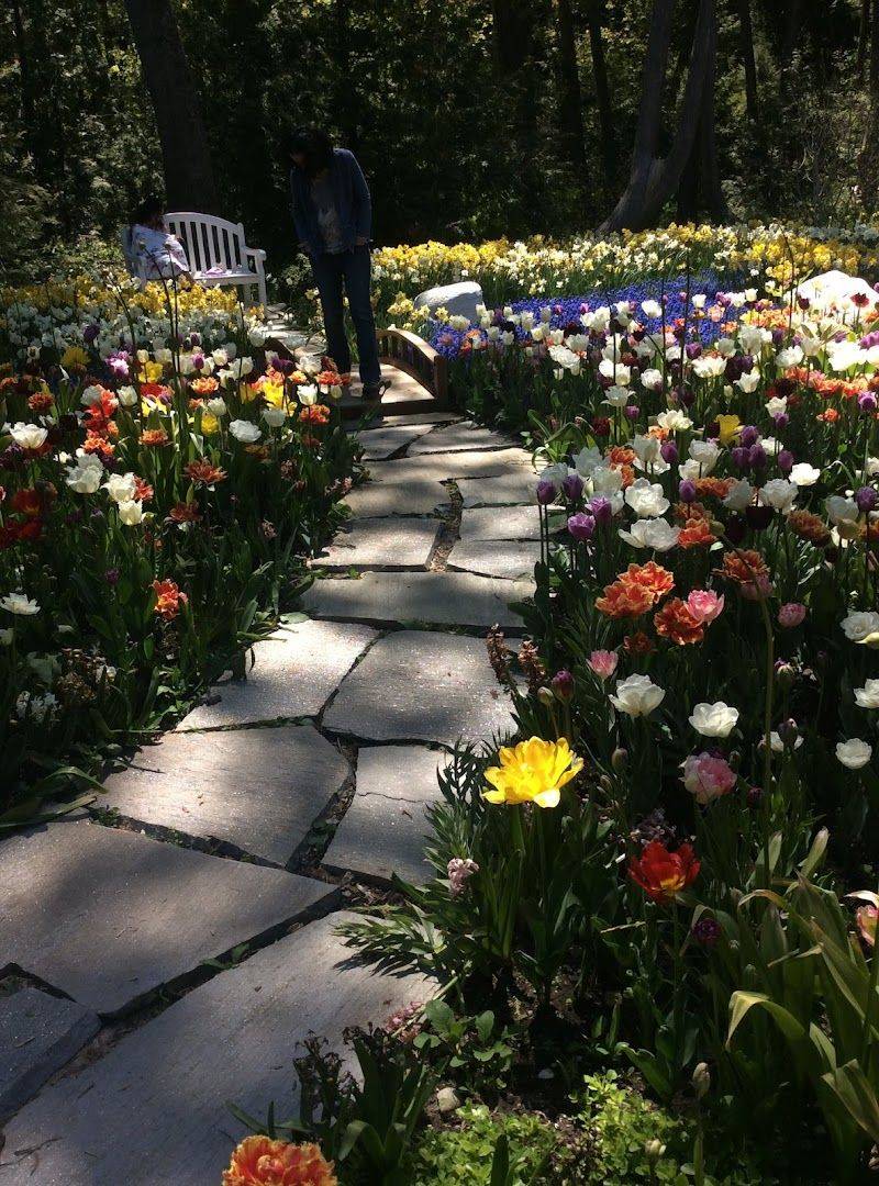 Why This Small Garden Leaves a Big Impression
