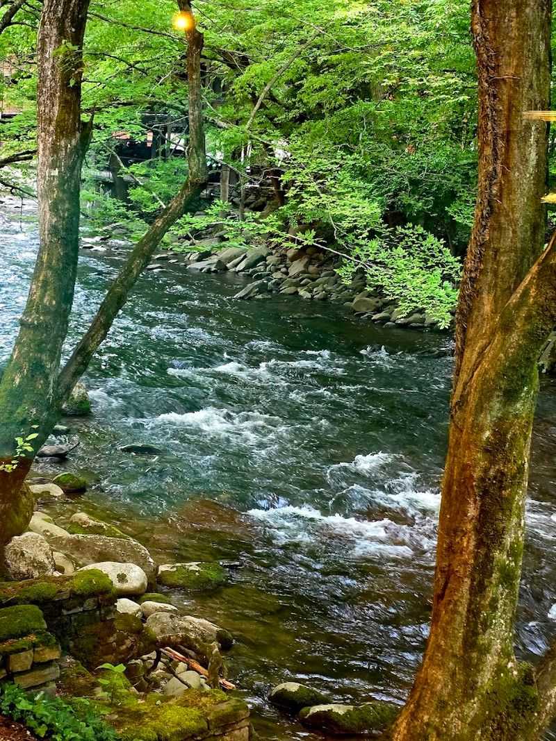 Why This Spot Belongs on Every Tennessee Bucket List
