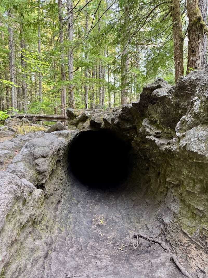 Why This Trail Deserves Its Own Trip