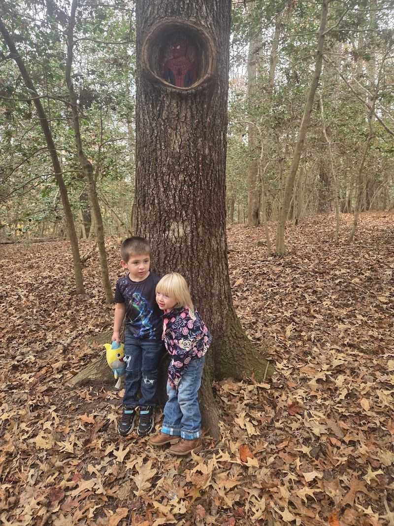 Why This Trail Deserves a Spot on Your Virginia Bucket List