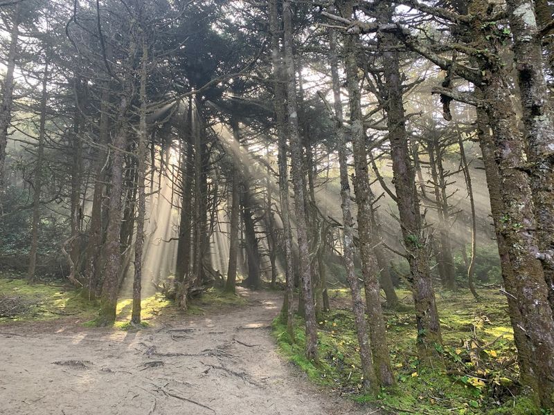 Why This Trail Keeps Drawing People Back