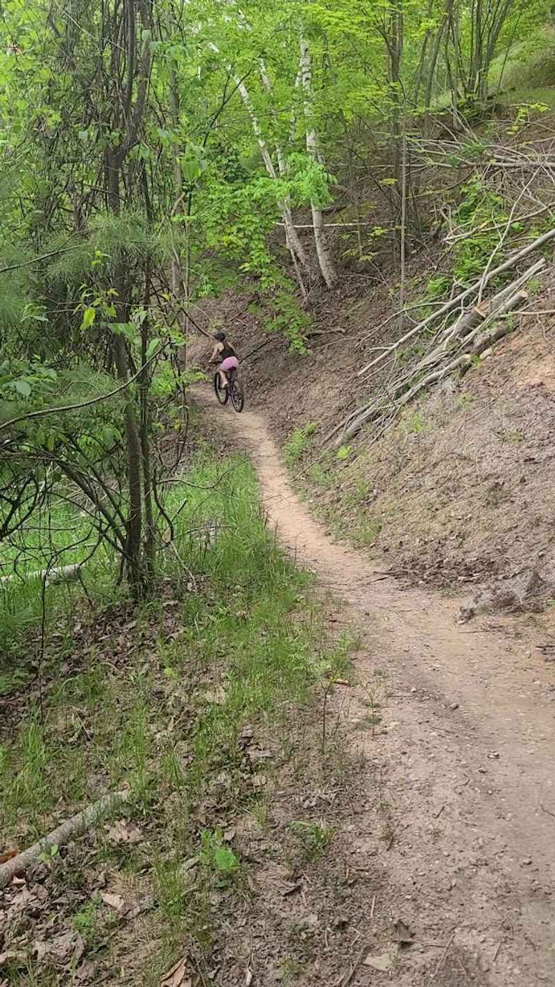 Why This Trail System Matters for the Broader Region Why This Trail System Matters for the Broader Region
