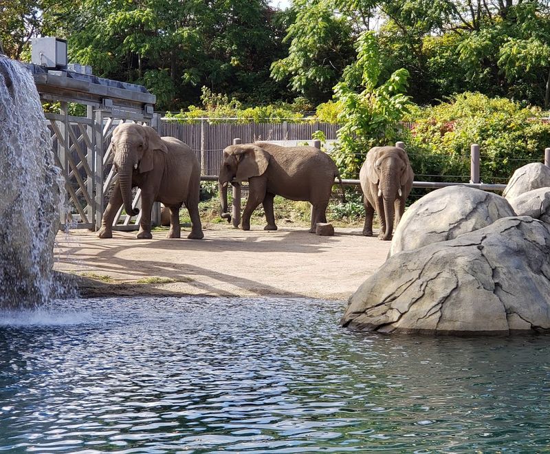 Why This Zoo Keeps Drawing People Back Year After Year Why This Zoo Keeps Drawing People Back Year After Year