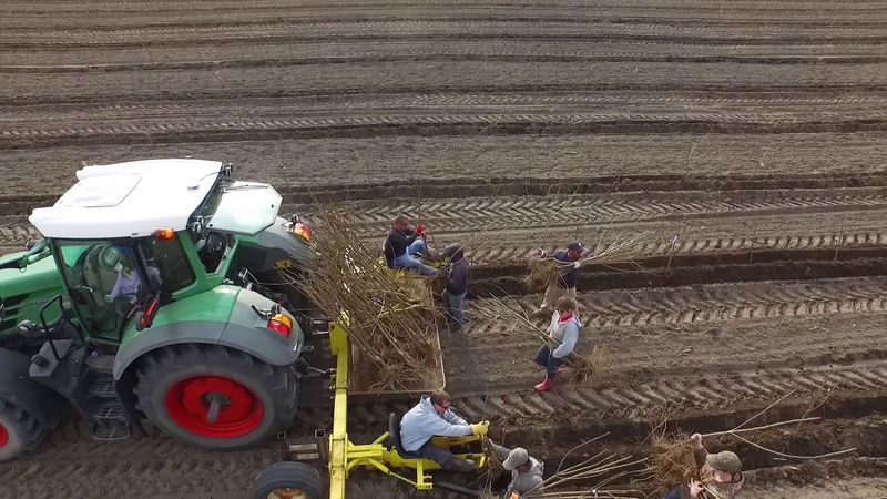 Why the Fields Feel So Easy