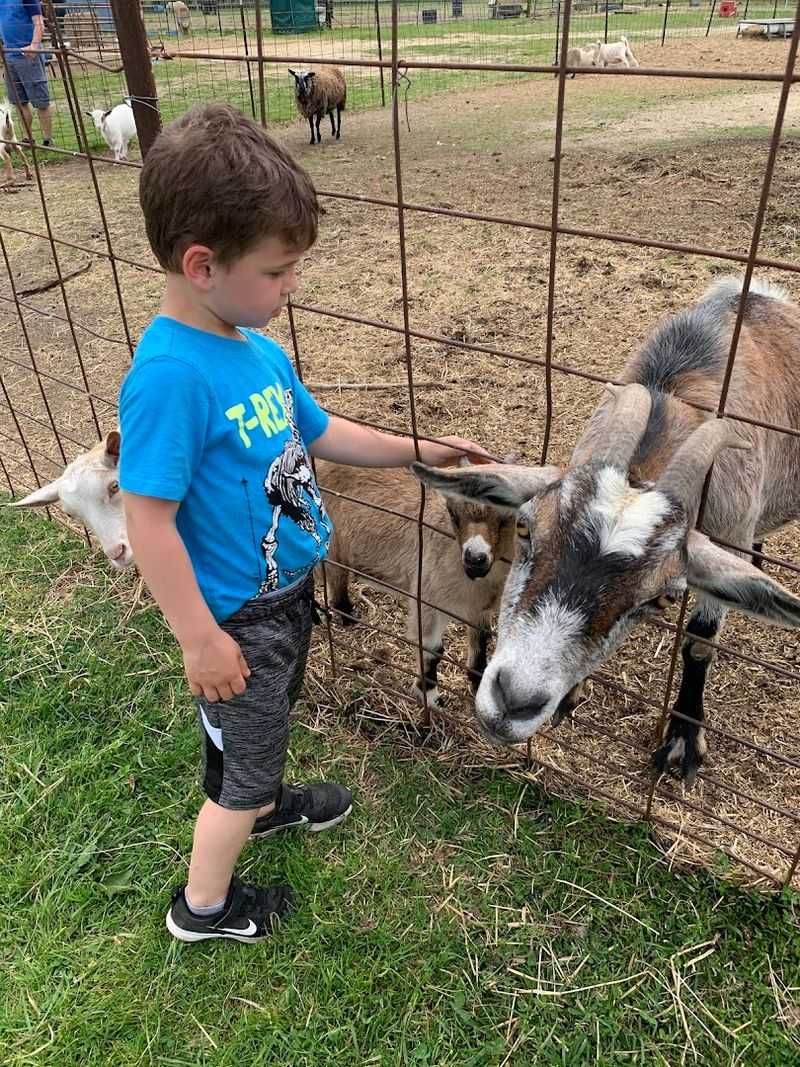 Why the Goats Are the Real Stars