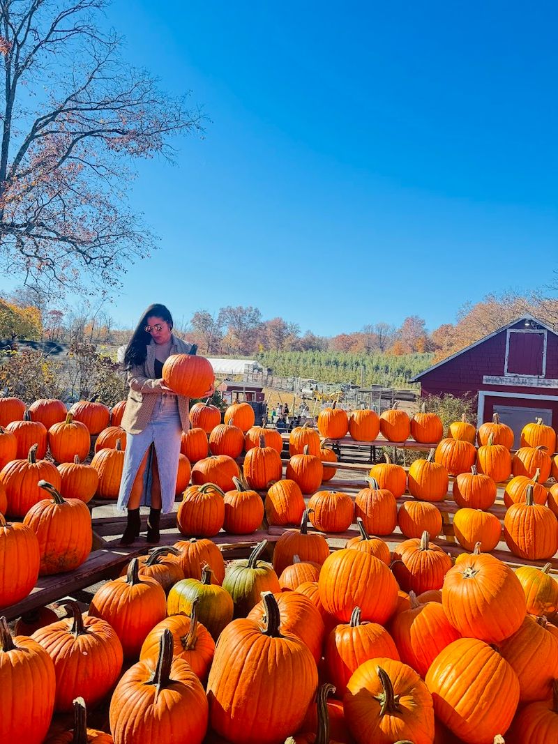 Wightman Farms, Morristown, New Jersey