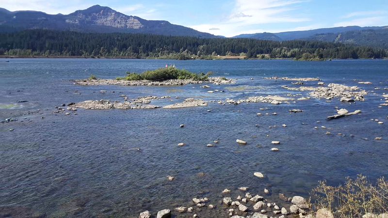 Wildlife, Birds, and the Natural Ecosystem Wildlife, Birds, and the Natural Ecosystem