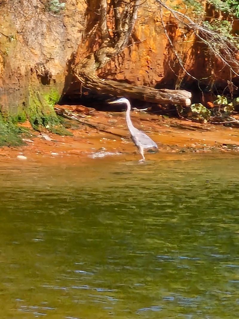 Wildlife Encounters Along the Way Wildlife Encounters Along the Way